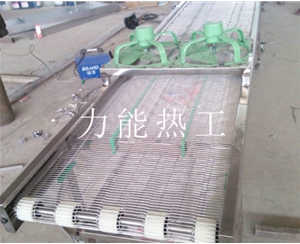 苏州乙字网输送机