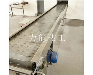 苏州链板输送机